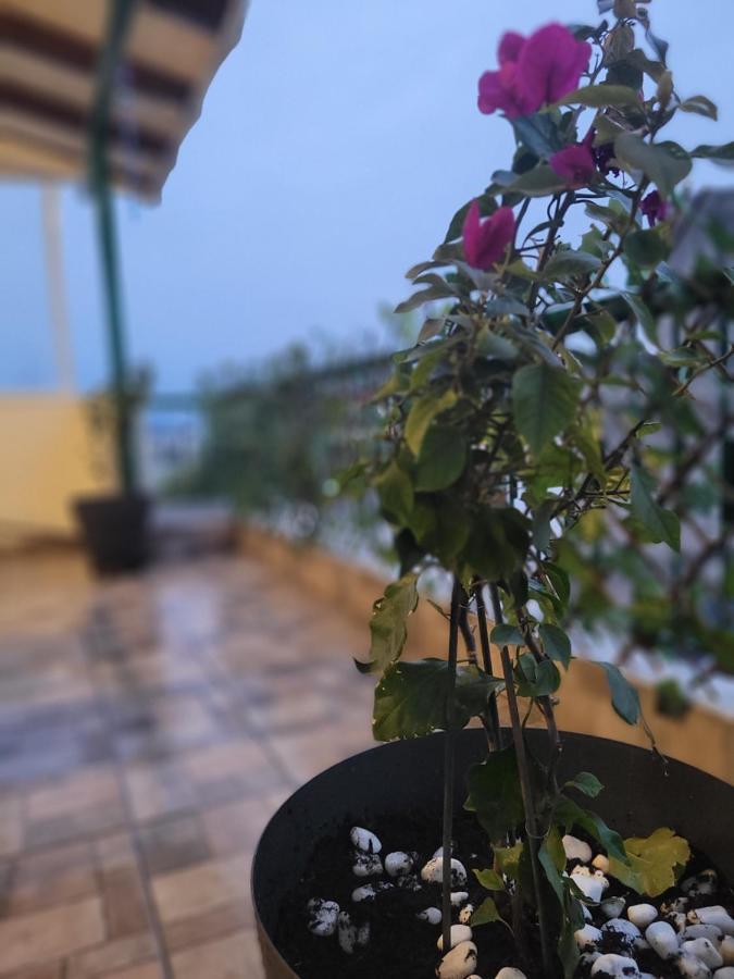 Marge Apt Arta Bagian luar foto