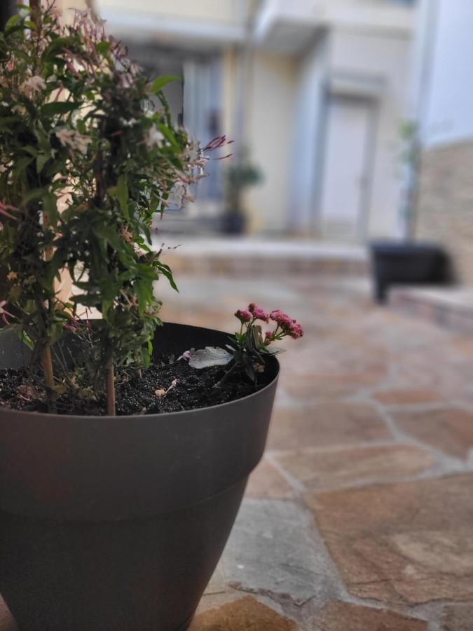Marge Apt Arta Bagian luar foto